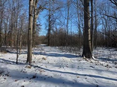 7021 Palms Road Road, Ira Twp, MI 48023