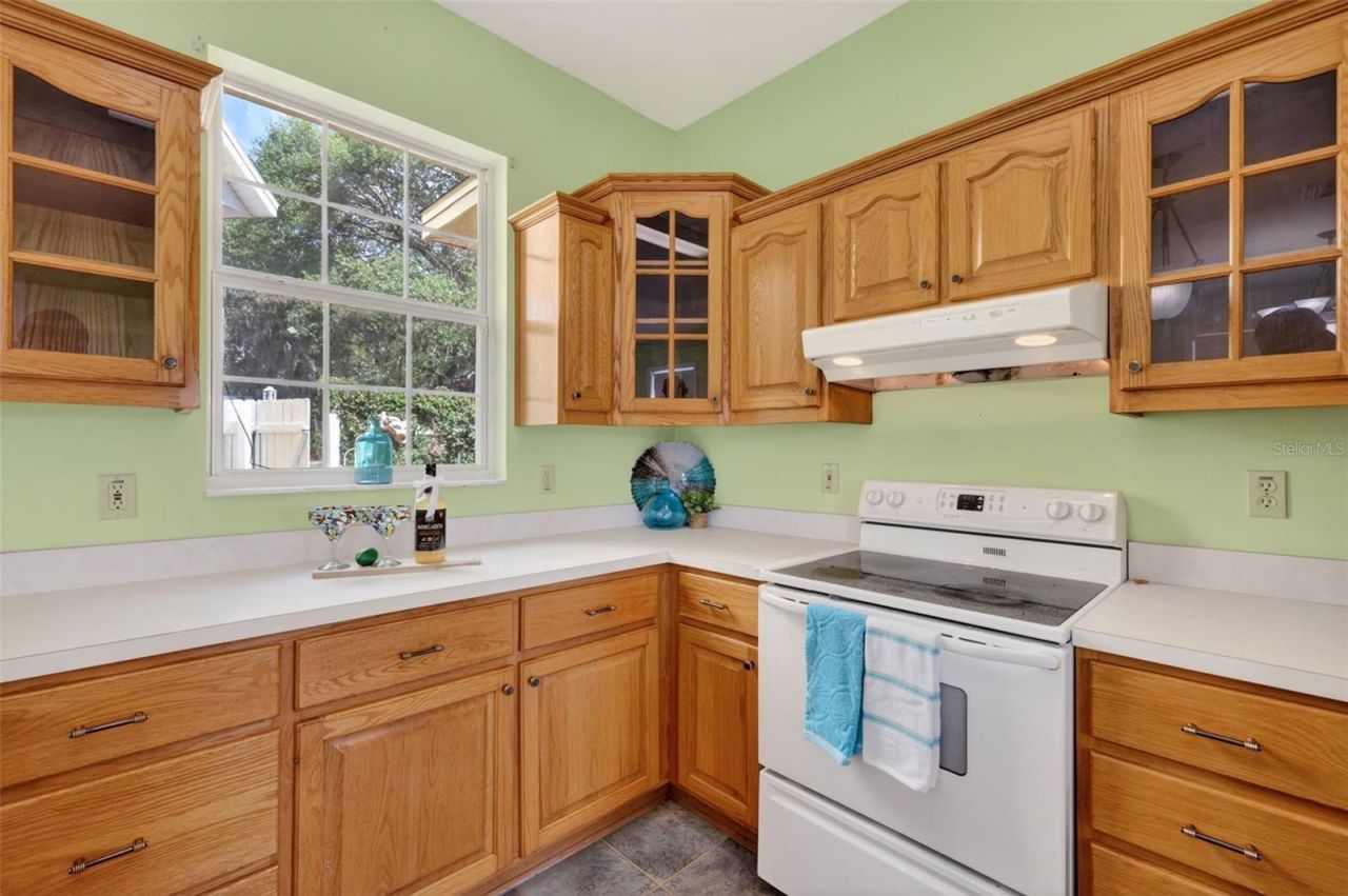 493 Malauka Loop, Ocklawaha, FL 32179 Photo