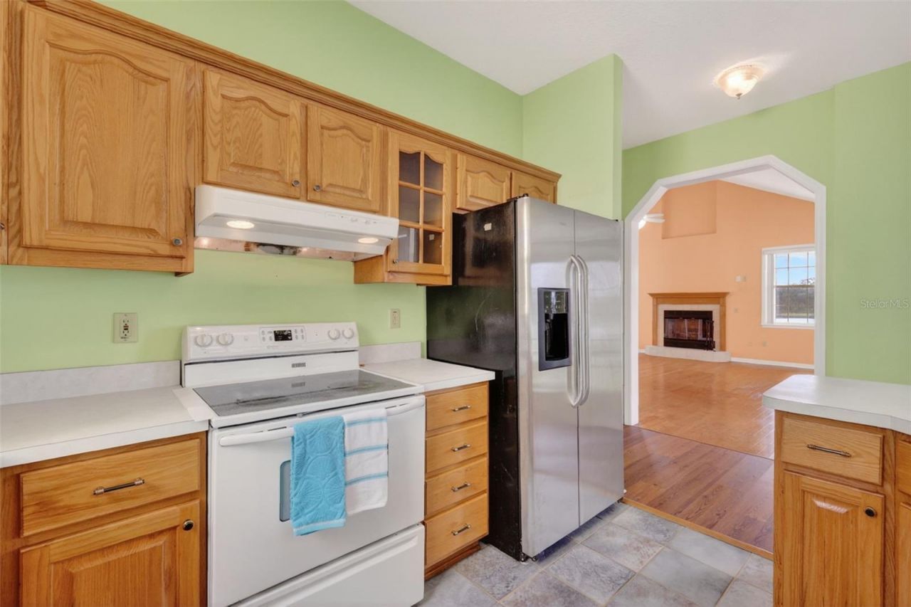 493 Malauka Loop, Ocklawaha, FL 32179 Photo