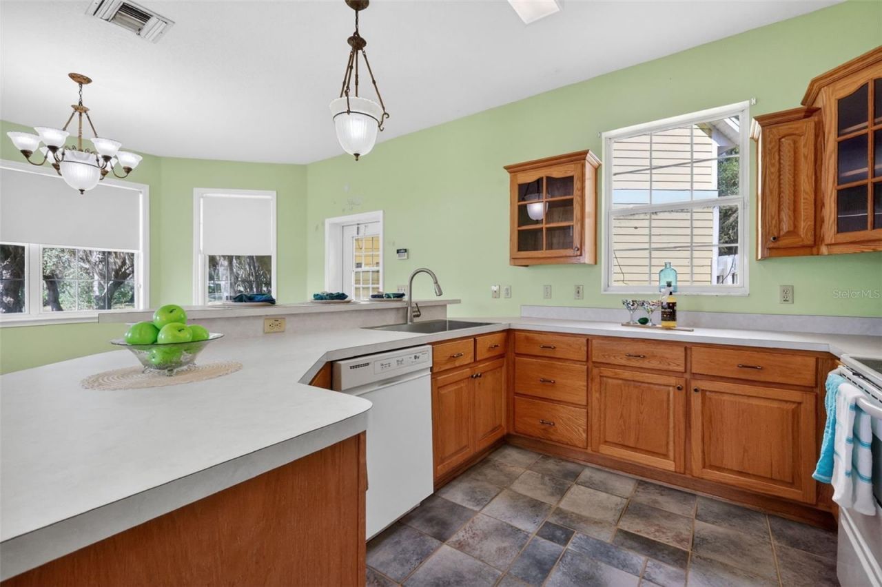 493 Malauka Loop, Ocklawaha, FL 32179 Photo