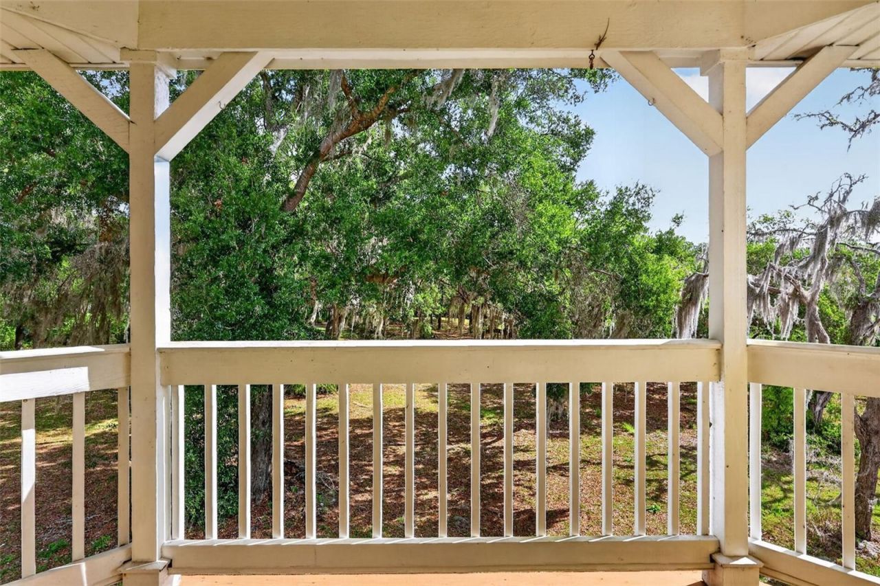 493 Malauka Loop, Ocklawaha, FL 32179 Photo