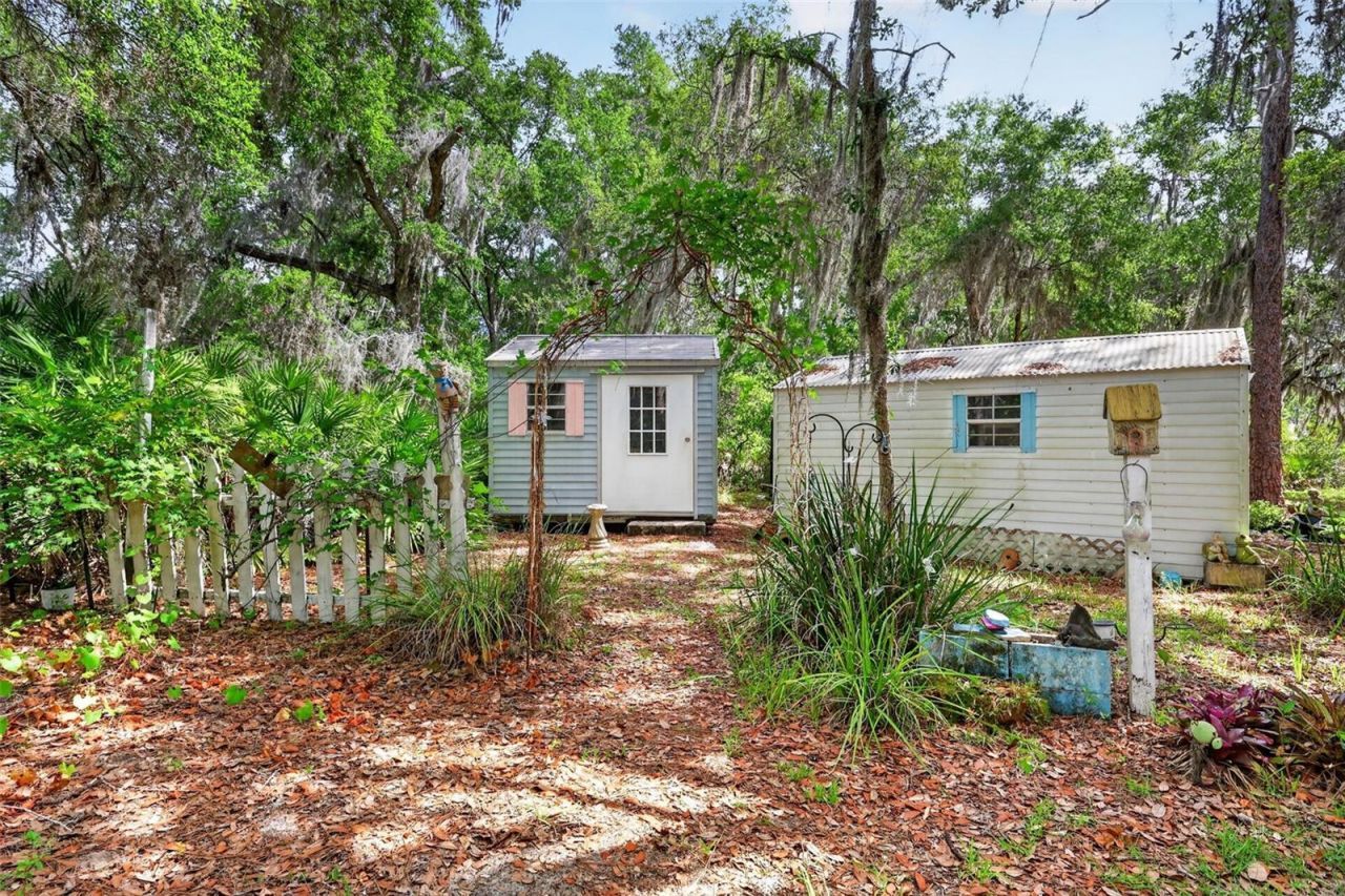 493 Malauka Loop, Ocklawaha, FL 32179 Photo