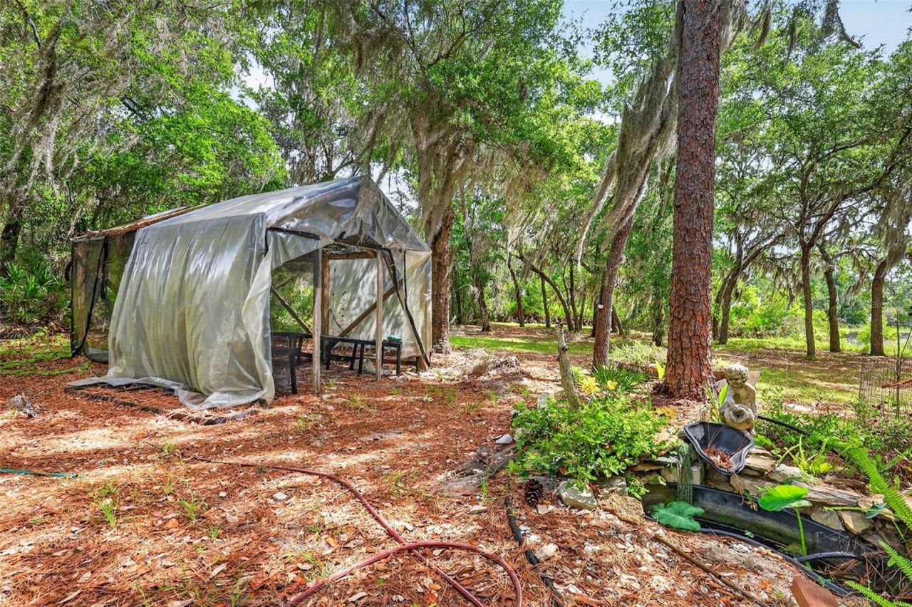 493 Malauka Loop, Ocklawaha, FL 32179 Photo