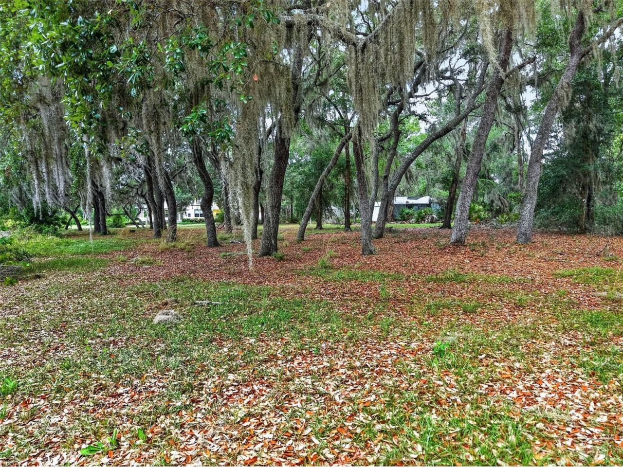493 Malauka Loop, Ocklawaha, FL 32179 Photo
