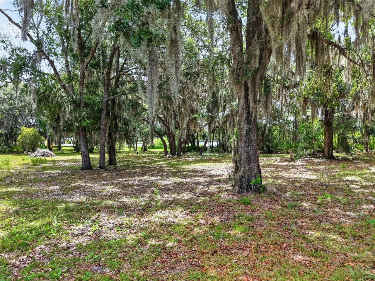 493 Malauka Loop, Ocklawaha, FL 32179 Photo