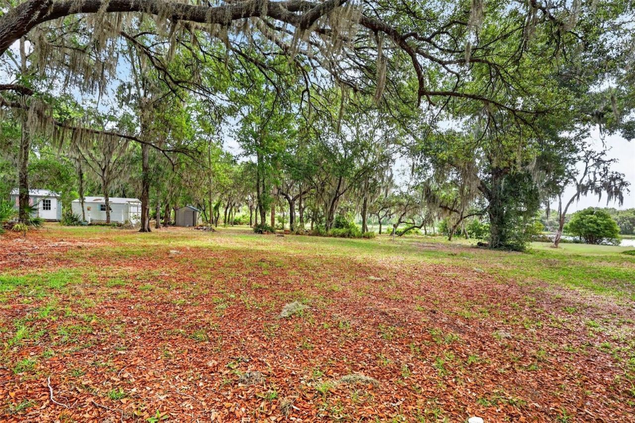 493 Malauka Loop, Ocklawaha, FL 32179 Photo