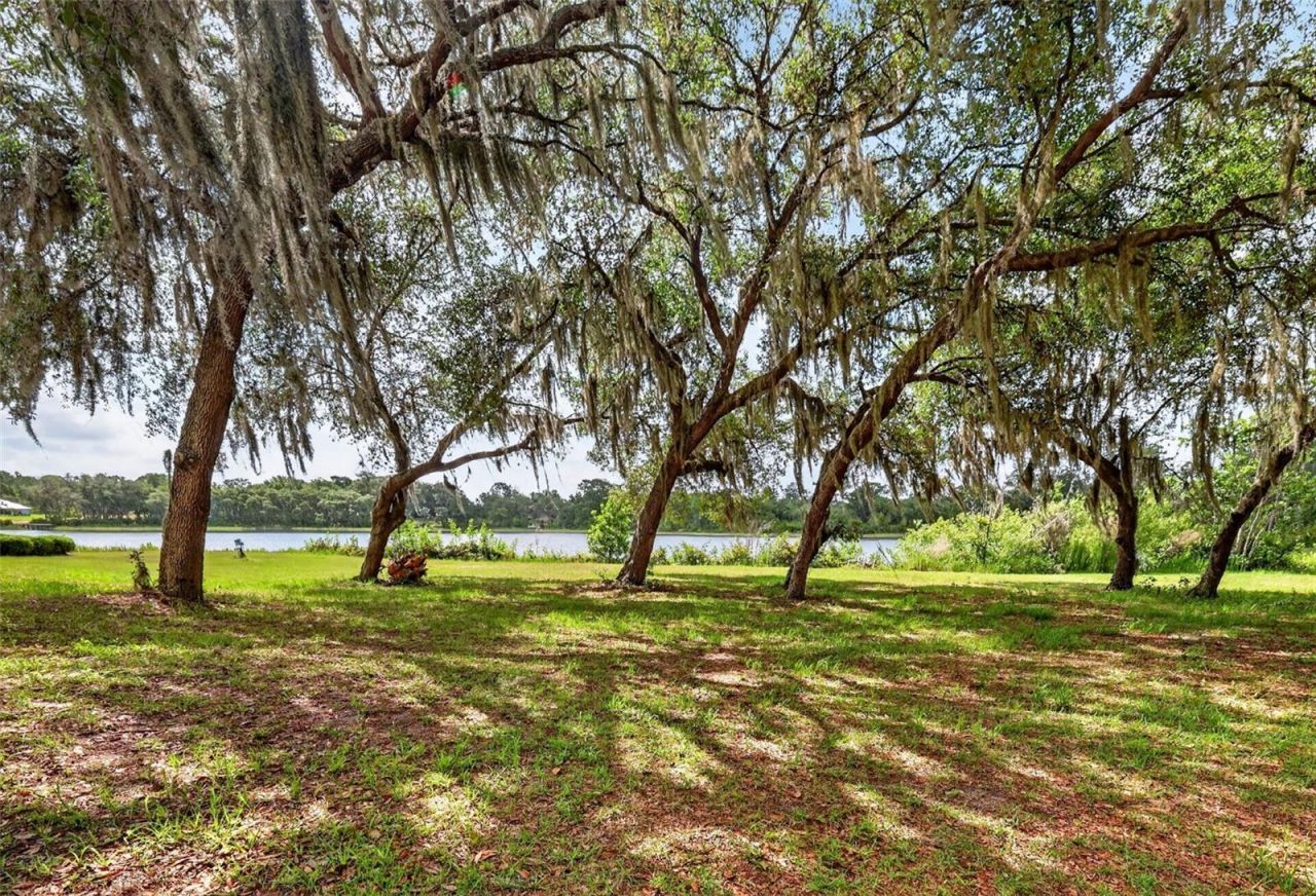 493 Malauka Loop, Ocklawaha, FL 32179 Photo