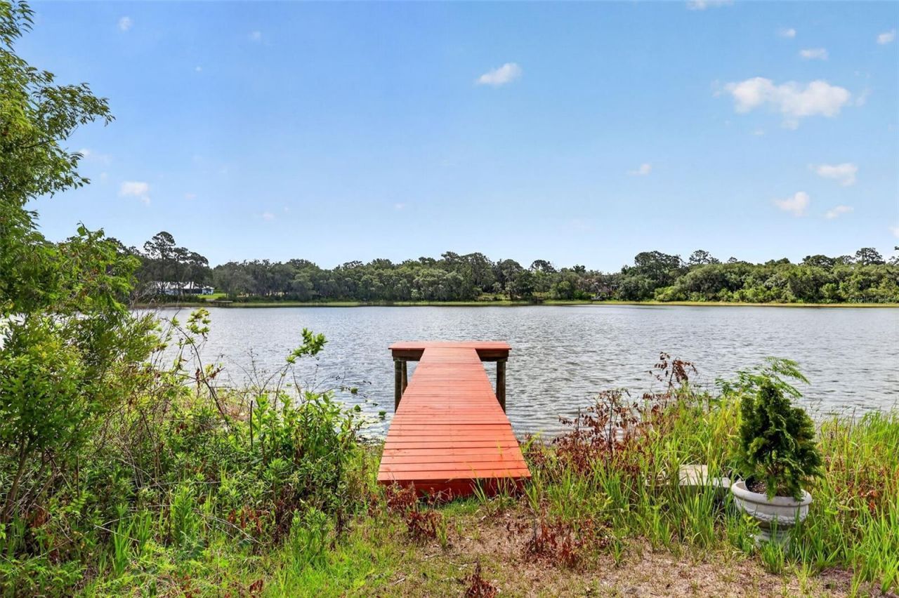 493 Malauka Loop, Ocklawaha, FL 32179 Photo