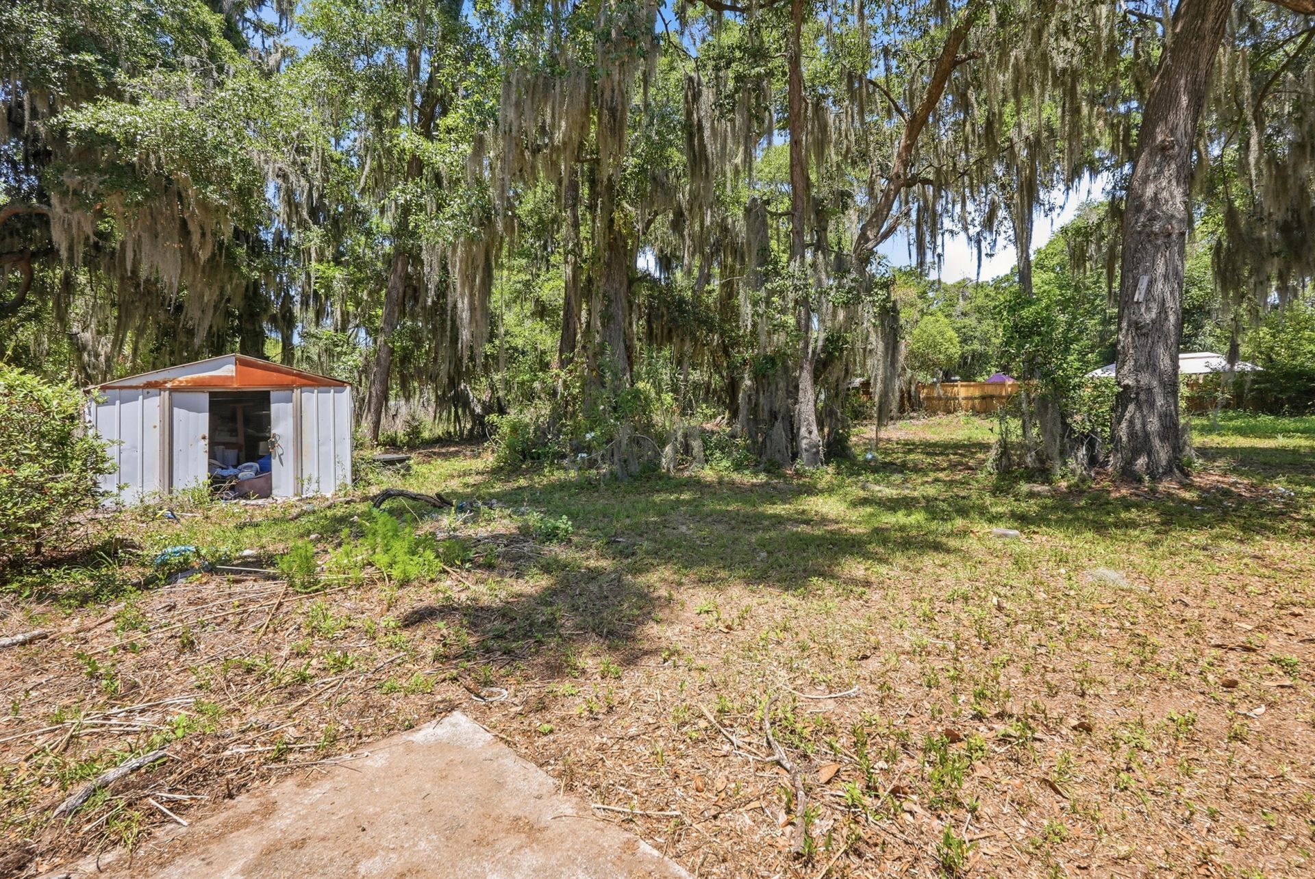 1601 Palmetto Street Photo 12