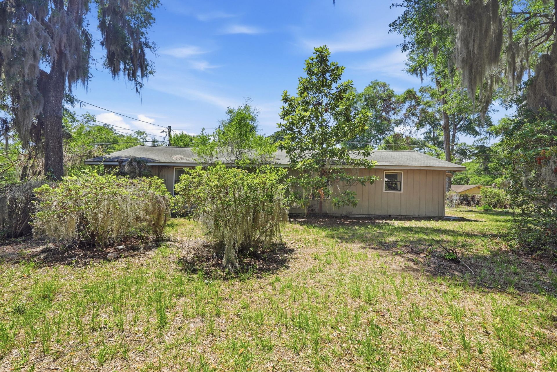 1601 Palmetto Street Photo 13