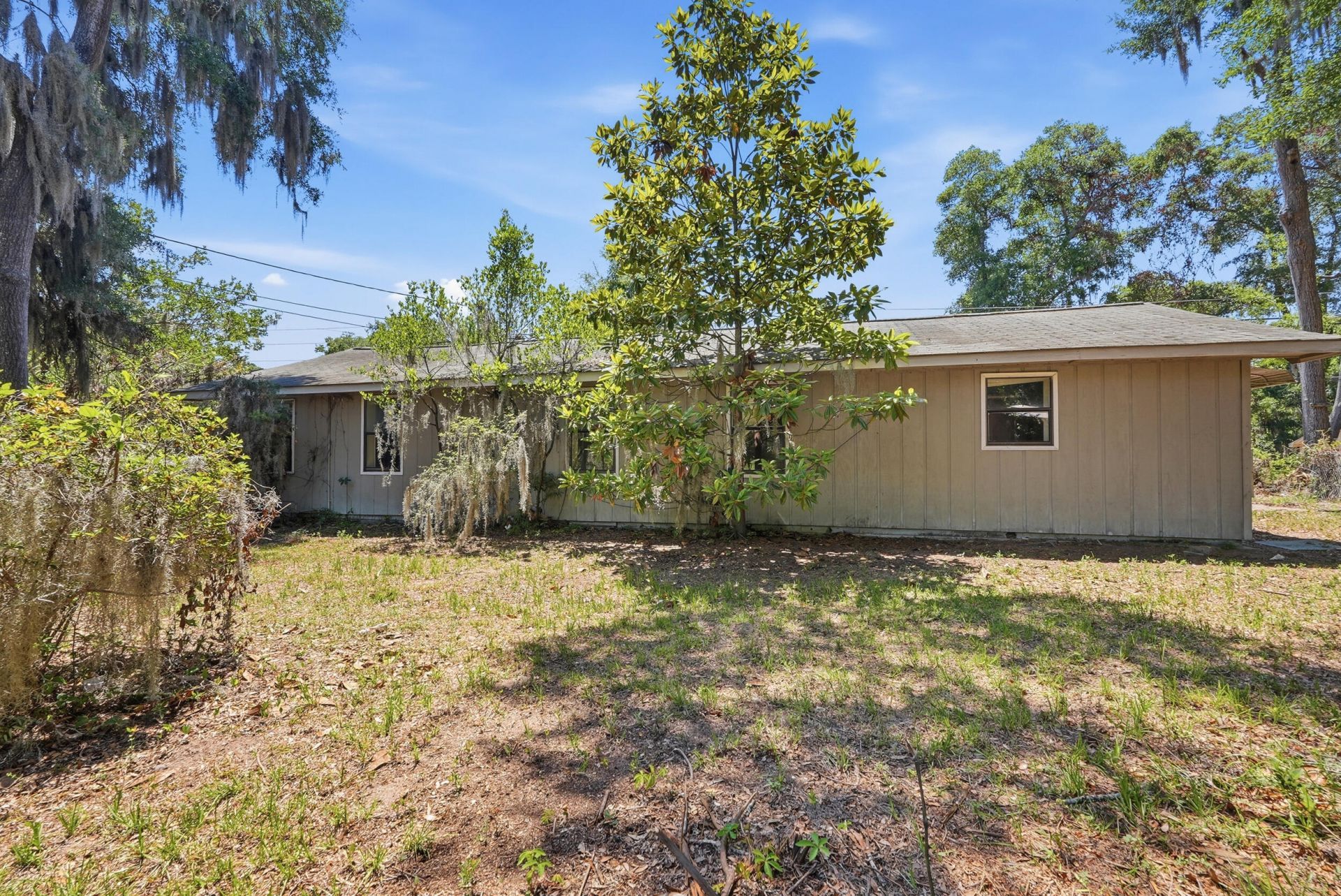 1601 Palmetto Street Photo 14