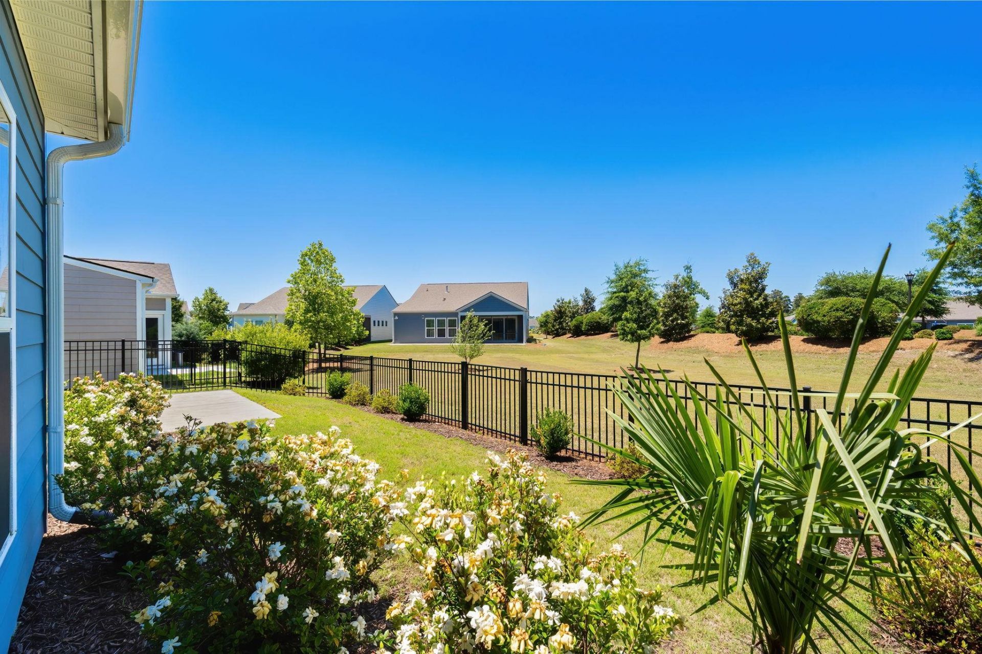 6528 Torino Lane  Photo 44