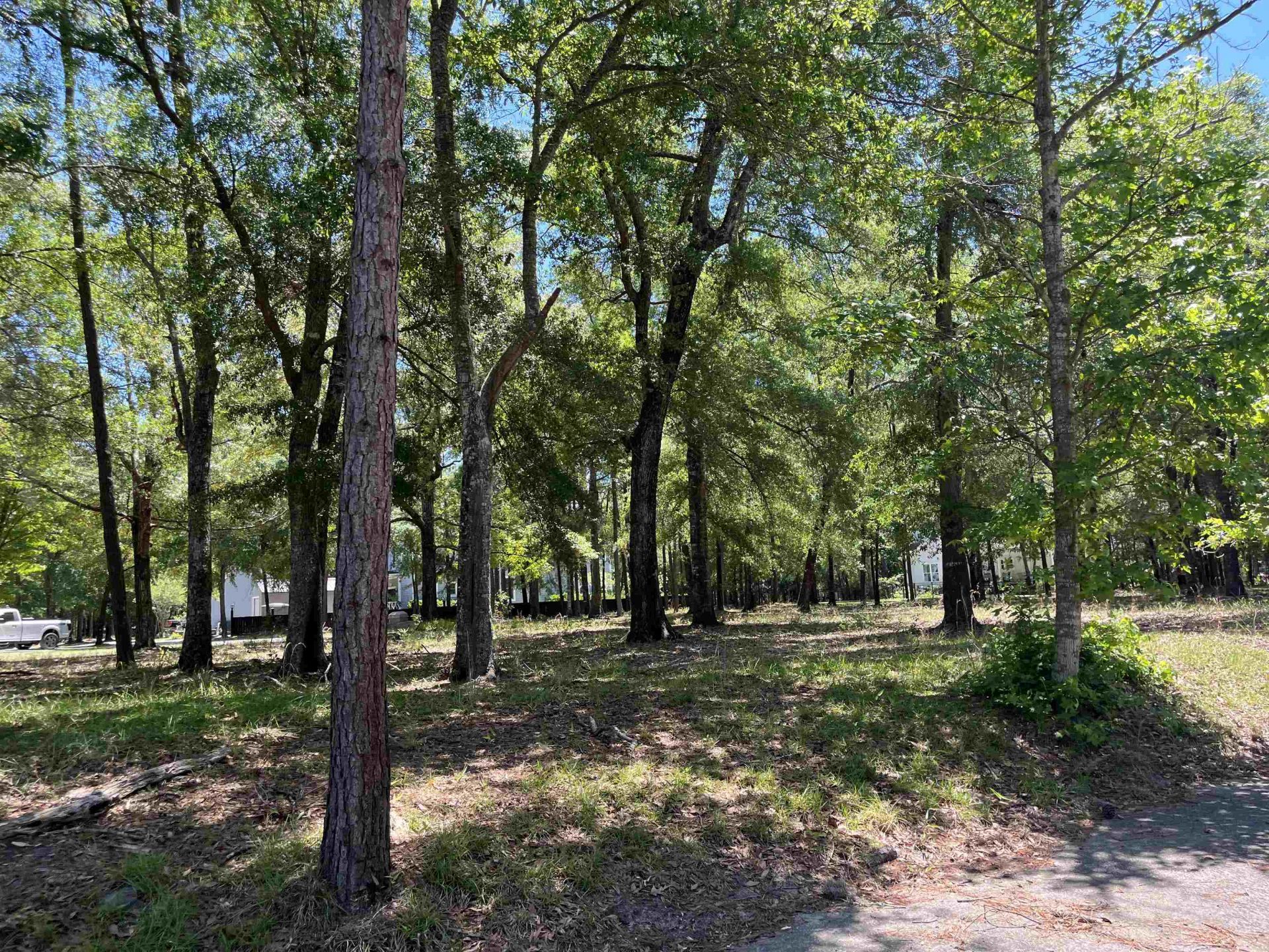 32 Crescent Dr. Photo 2