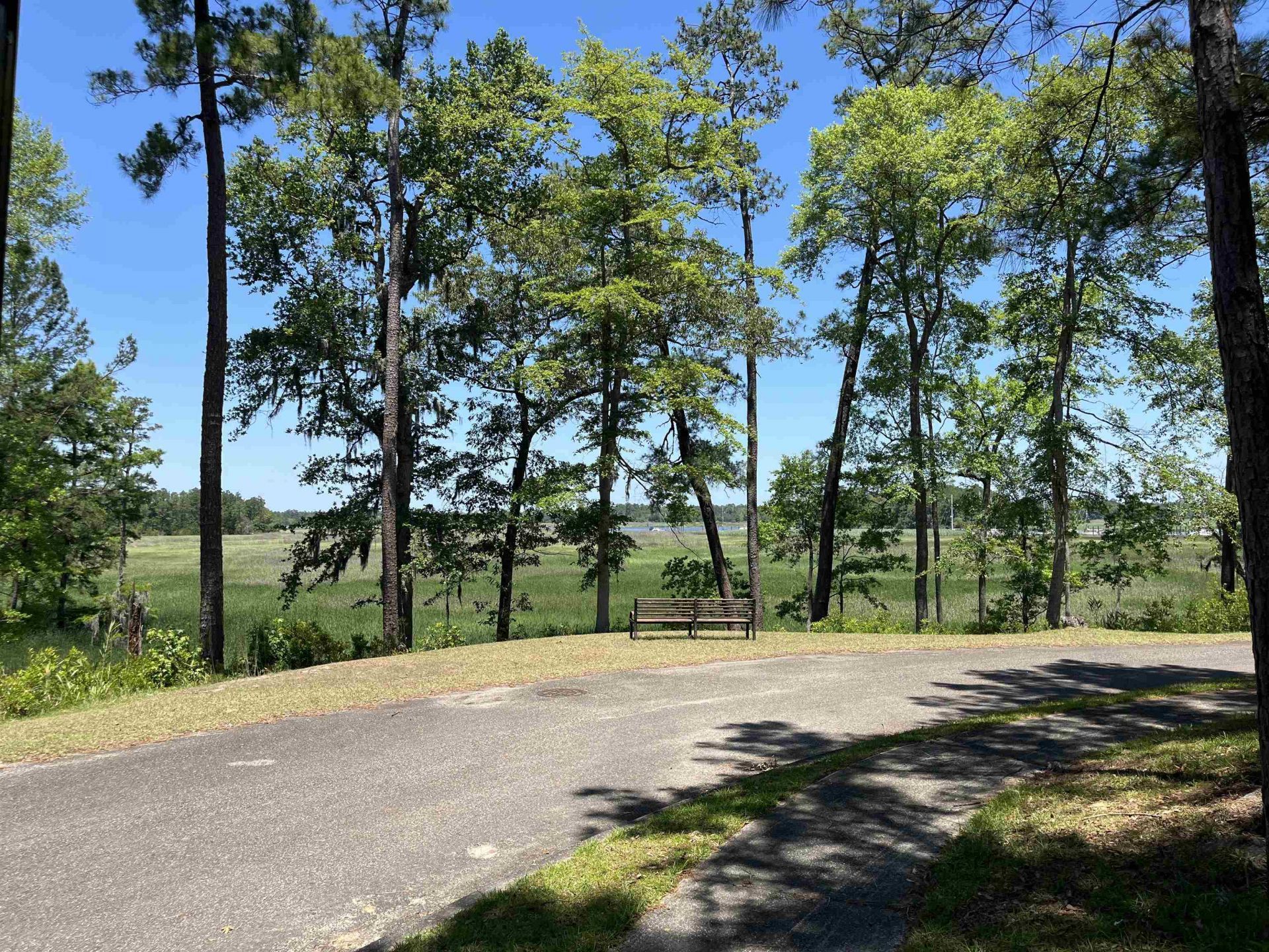 32 Crescent Dr. Photo 3