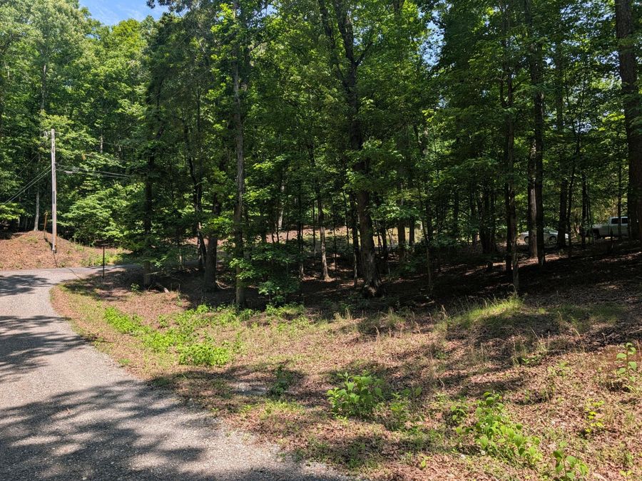 Property Image 18
