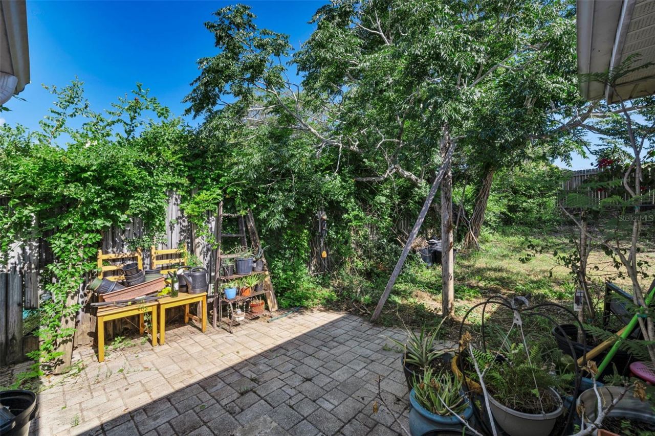 3541 Bigelow Drive, Holiday, FL 34691 Photo