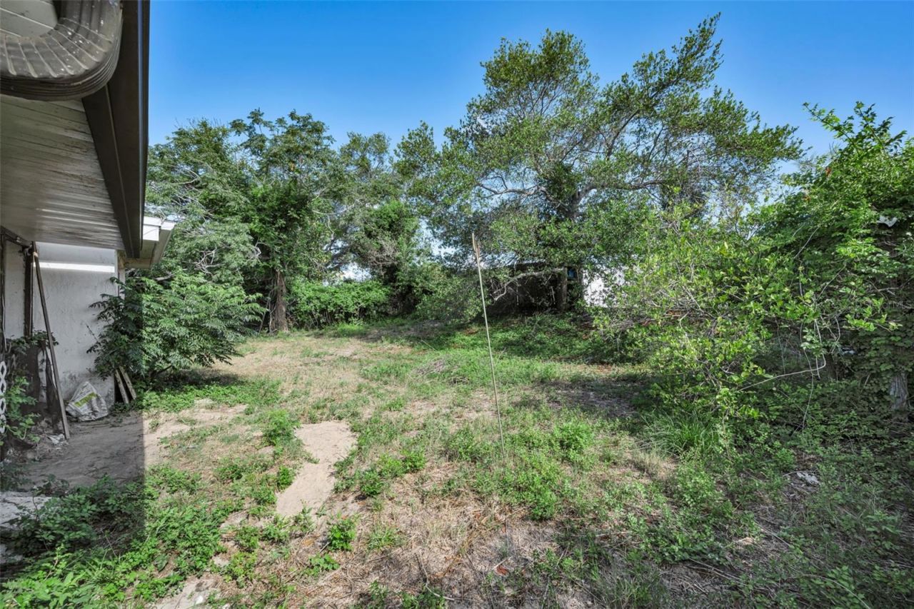 3541 Bigelow Drive, Holiday, FL 34691 Photo
