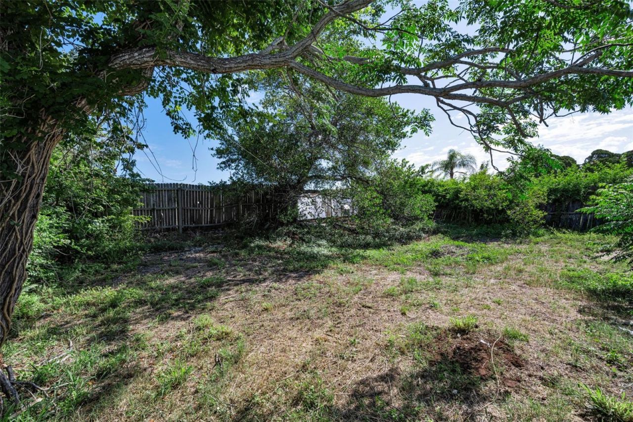 3541 Bigelow Drive, Holiday, FL 34691 Photo