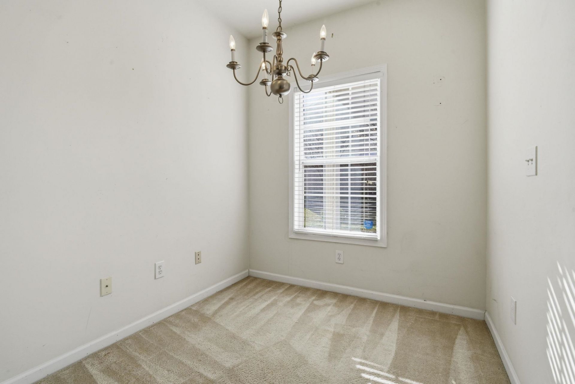 113 Mountain Ash Ln.  Photo 10