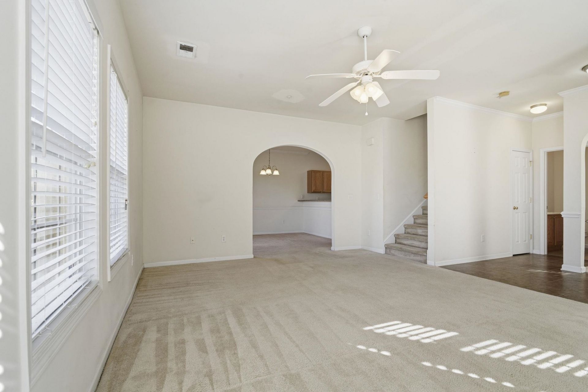 113 Mountain Ash Ln.  Photo 8