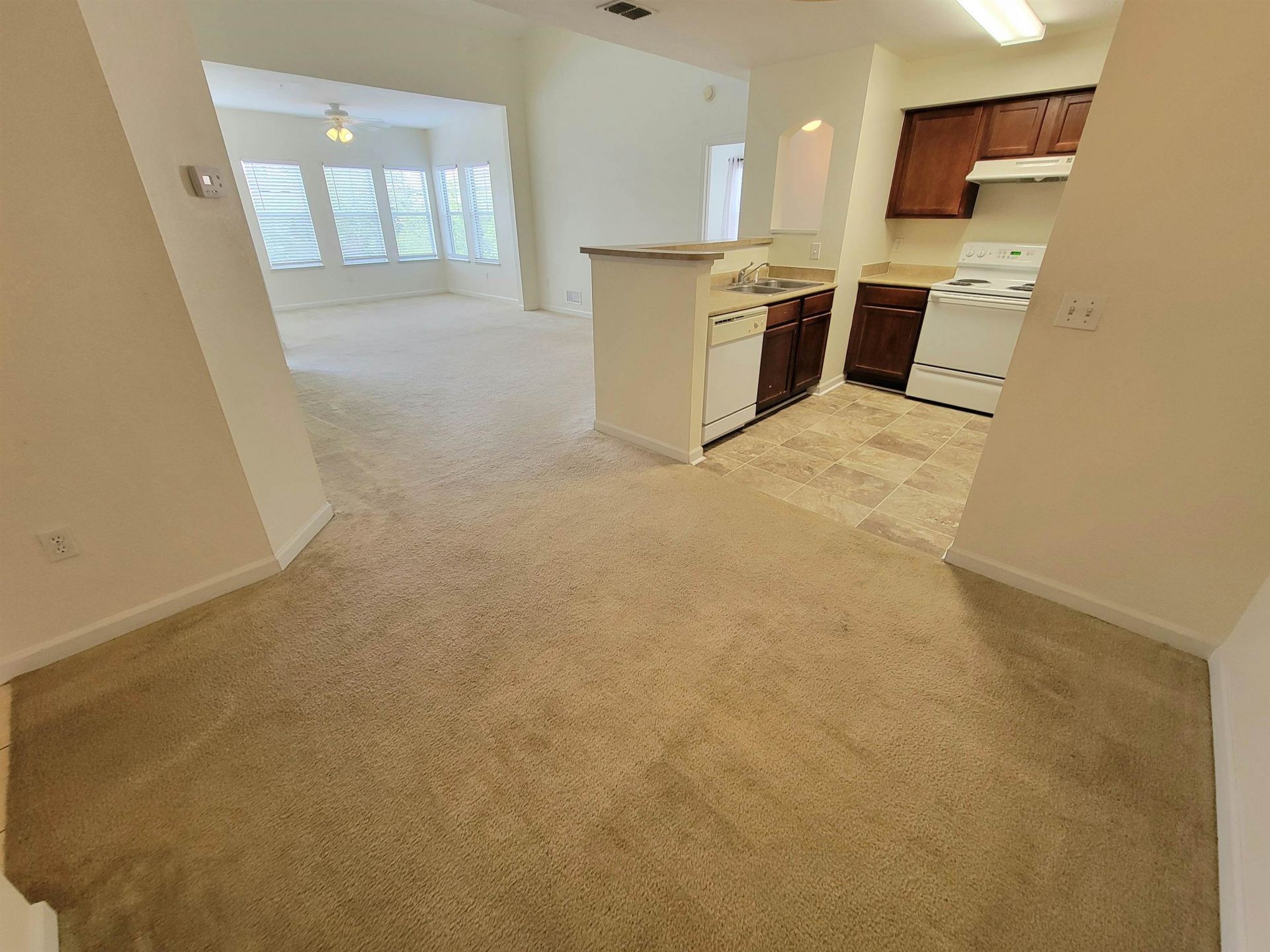 2801 Chancellorsville Drive , Unit 231, Tallahassee, FL 32312 Photo