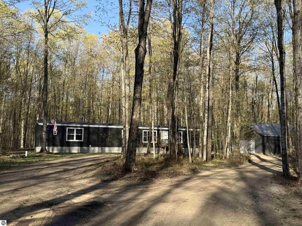 9710 S Fawn Lane, Mancelona, MI 49659