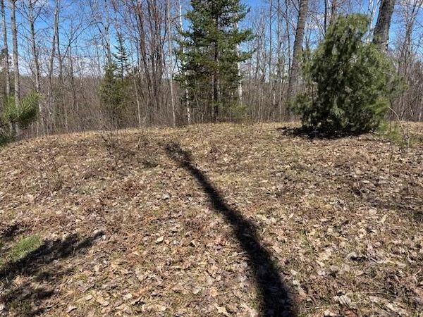 10098 N Old 27, Frederic, MI 49733