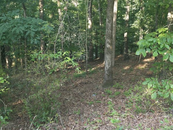 330 Caldwell Circle, Athens, GA 30606