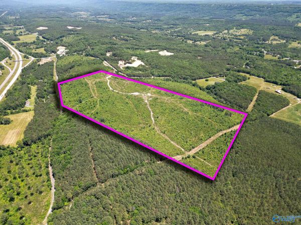 74 ACRES Bethel Road, Valley Head, AL 35989