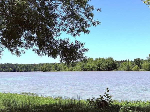 Lot 41 County Road 1008, Cedar Bluff, AL 35959
