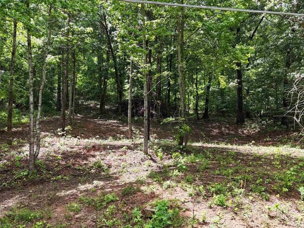 Lot 118 Honeycomb Valley Road, Grant, AL 35747
