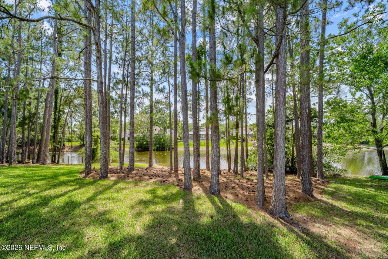 3746 Pinckney Island Court, Jacksonville, FL 32224 Photo