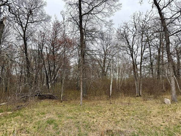 L18B1 Acorn Ridge Road NW, Bemidji, MN 56601