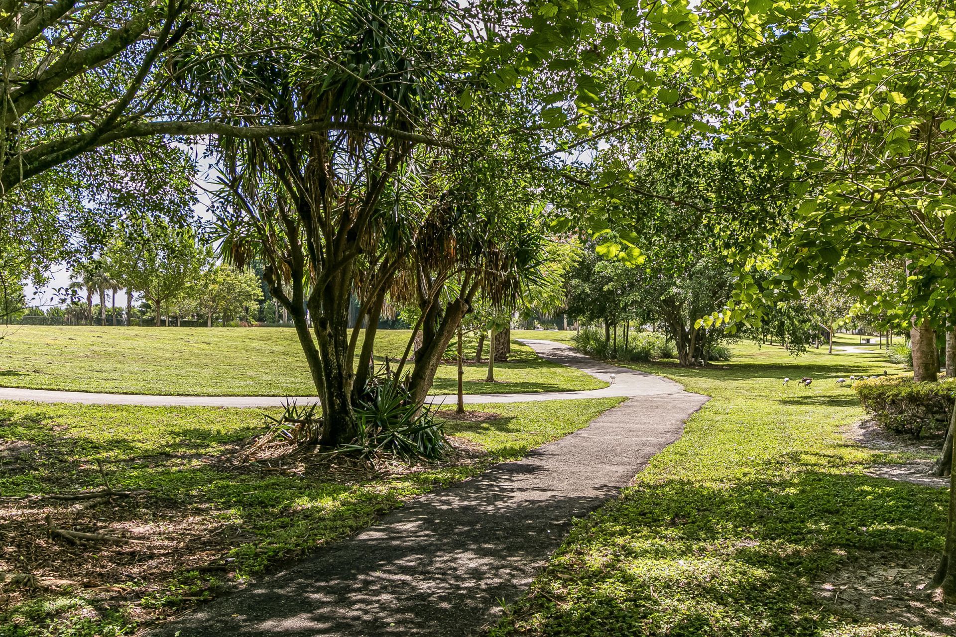 950 Hillcrest Drive, Unit 514, Hollywood, FL 33021 Photo