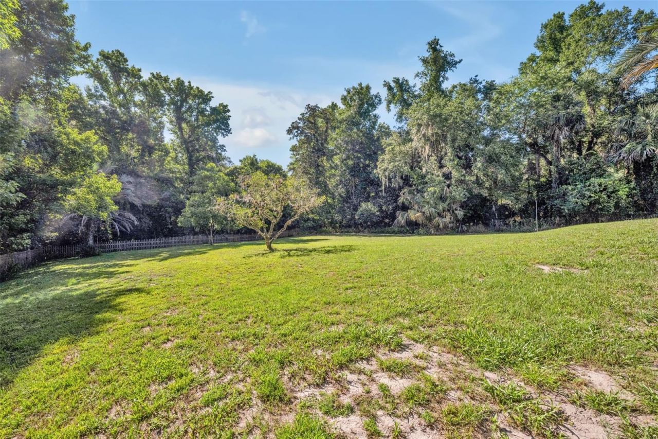 1483 Mirkwood Cove, Oviedo, FL 32765 Photo