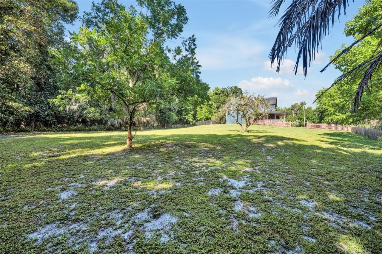 1483 Mirkwood Cove, Oviedo, FL 32765 Photo
