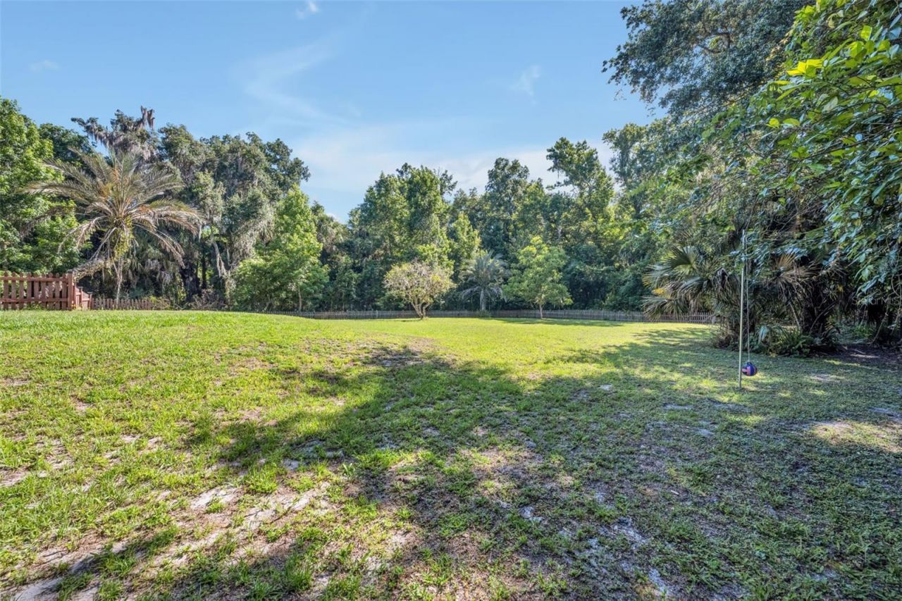 1483 Mirkwood Cove, Oviedo, FL 32765 Photo
