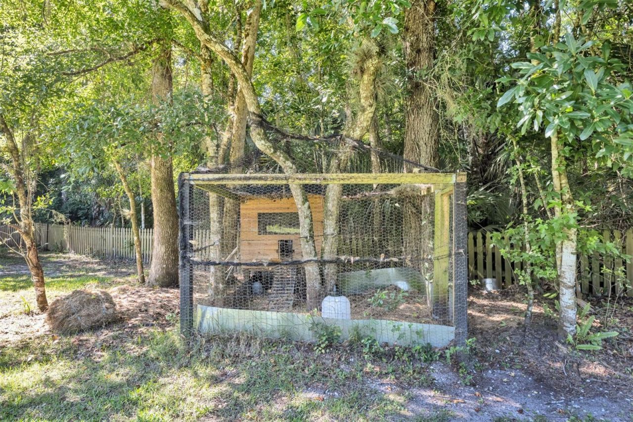 1483 Mirkwood Cove, Oviedo, FL 32765 Photo