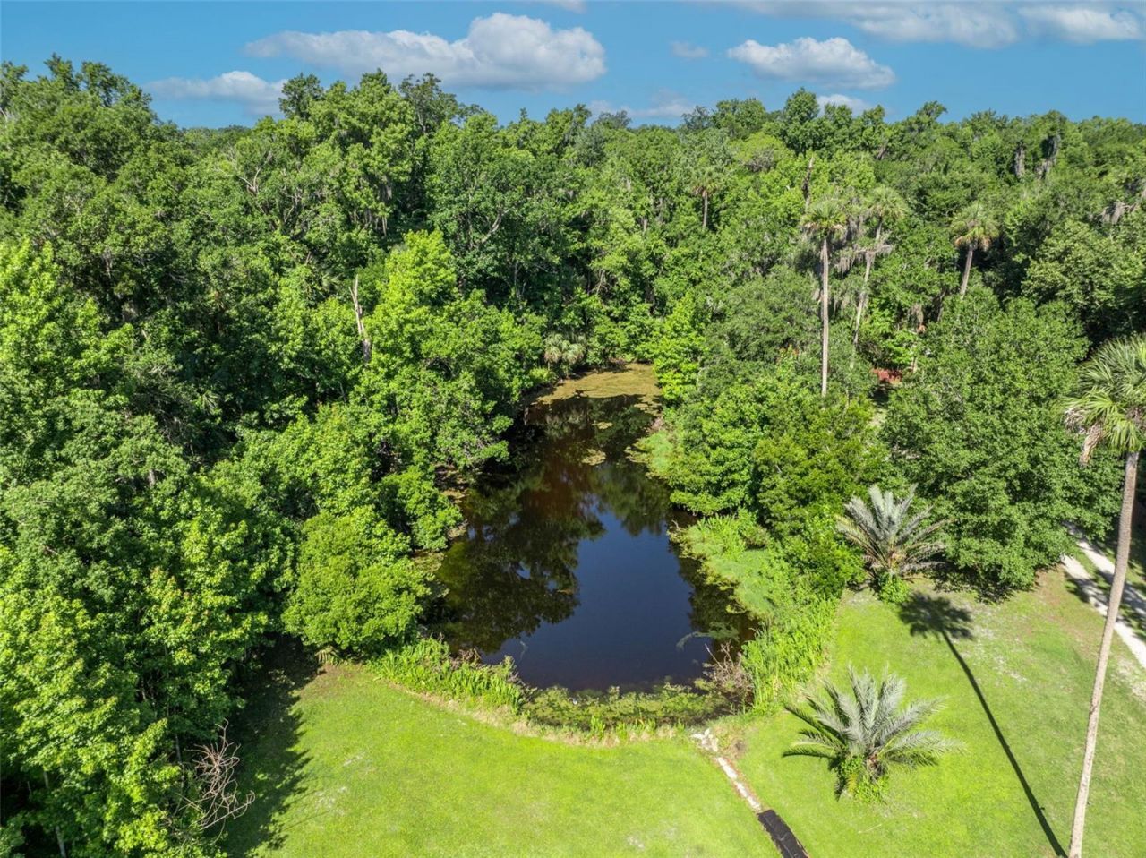 1483 Mirkwood Cove, Oviedo, FL 32765 Photo