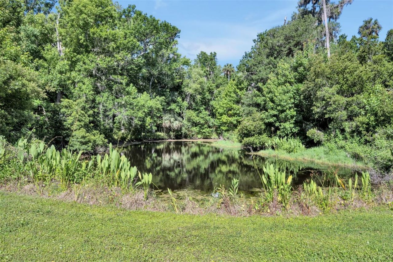 1483 Mirkwood Cove, Oviedo, FL 32765 Photo