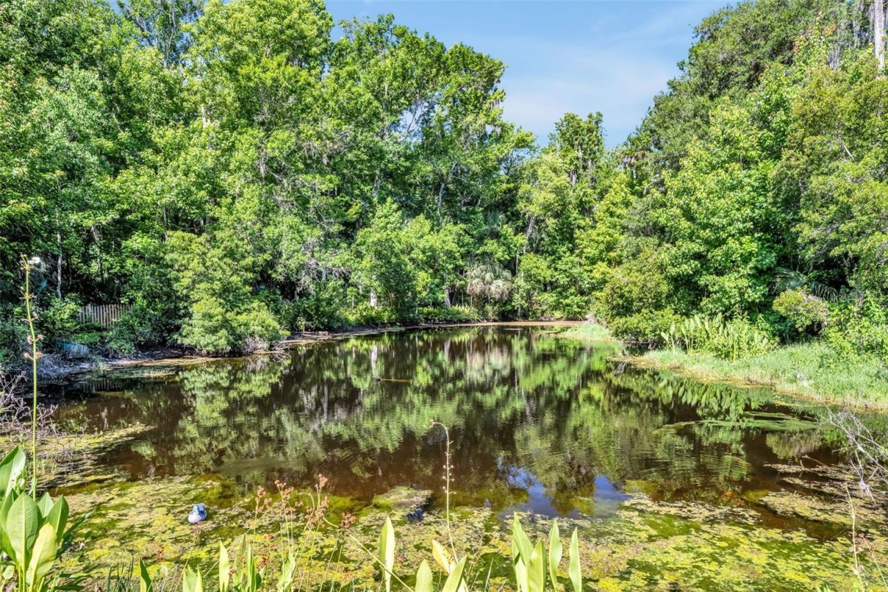 1483 Mirkwood Cove, Oviedo, FL 32765 Photo
