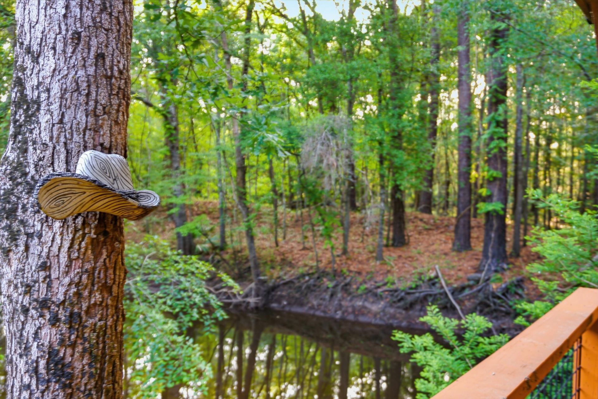 88 Turtle Court Photo 38