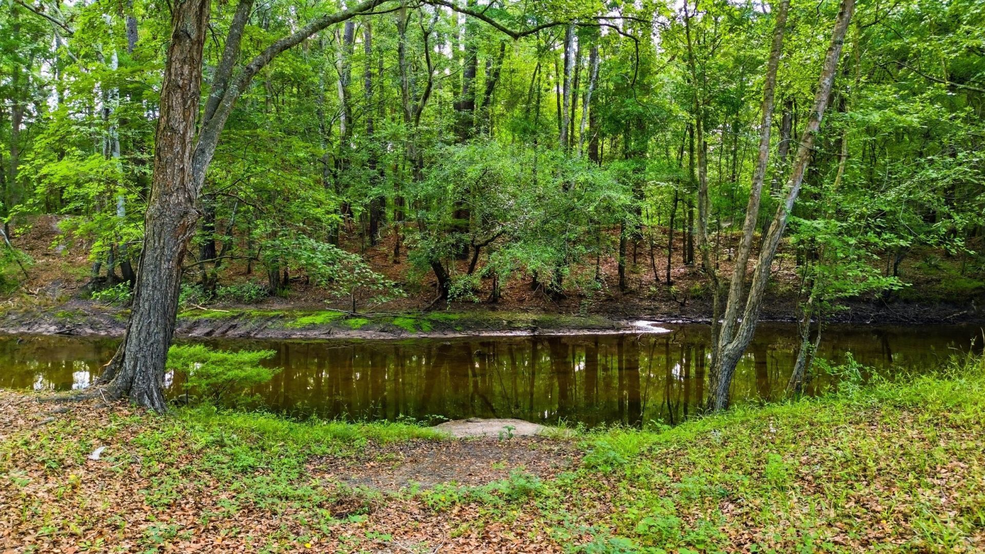 88 Turtle Court Photo 41