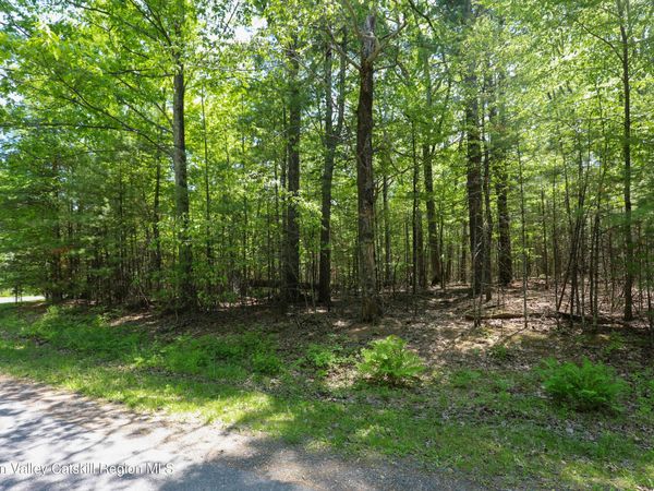 Tbd Bristol Hill Road, Glenford, NY 12433