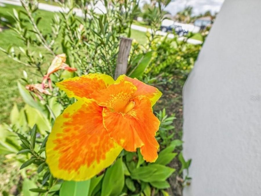 Property Image 66