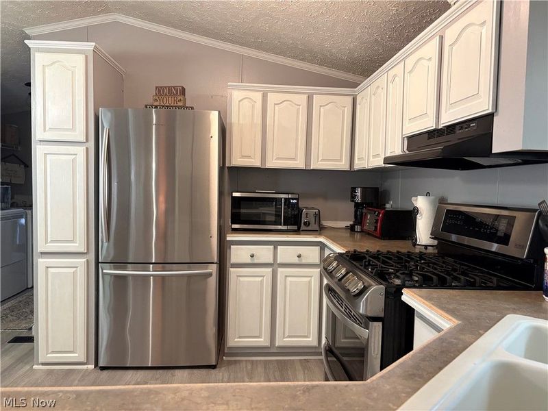 195 Spruce Lane, Mentor, OH 44060 Photo 8