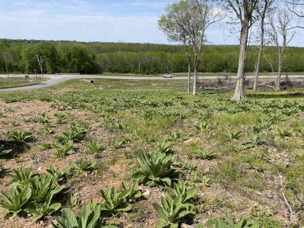 TBD Baycrest Avenue , Grove, OK 74344