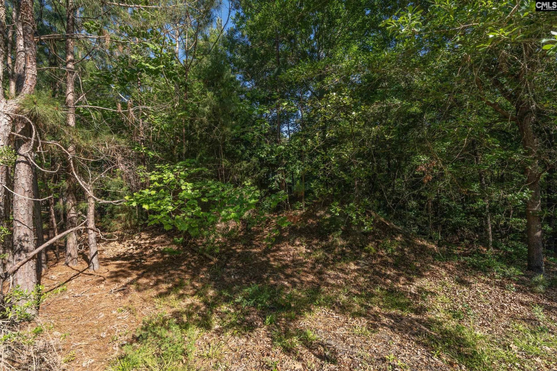 212 Lake Carolina Boulevard  Photo 27