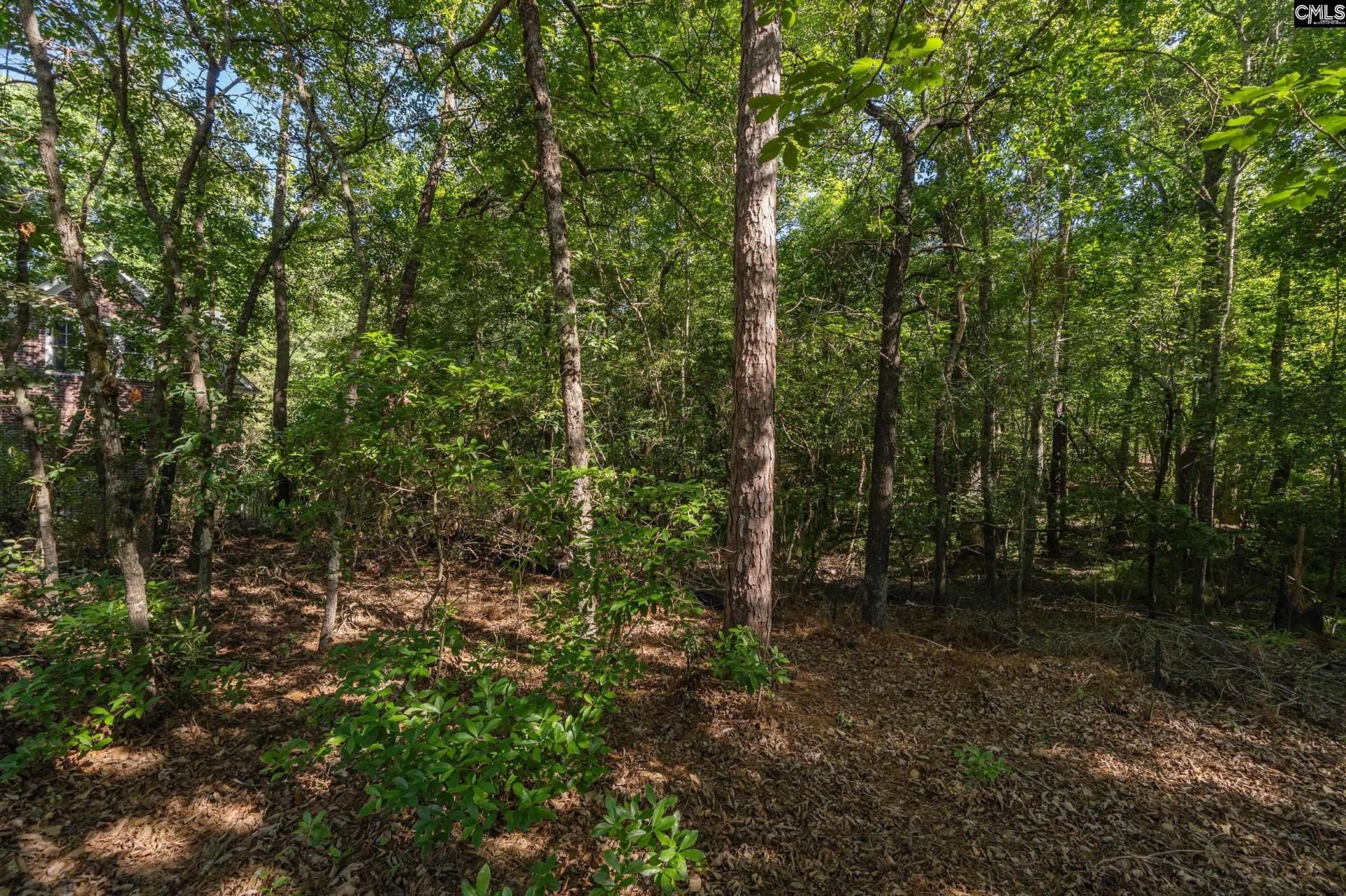 212 Lake Carolina Boulevard  Photo 28