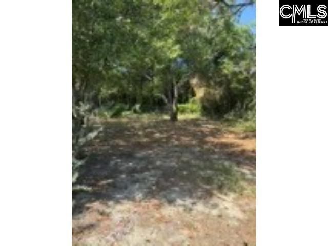 141 Parkwood Drive  Photo 5